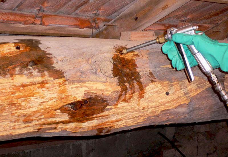 Charpente - Roofwall Rhode Sint Genèse : Artisan charpentier couvreur : Charpente & Traitement bois : Charpente traditionnelle, à fermettes … du massif au lamellé-collé. Traitement des boiseries.  … RHODE SINT GENÈSE - RHODE SAINT GENÈSE : intervention en BELGIQUE: région Flamande, Wallonne et Bruxelles, Liège ….